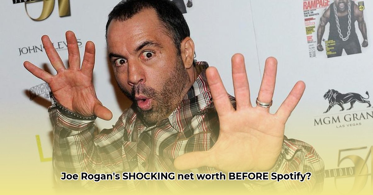 joe-rogan-net-worth-before-spotify